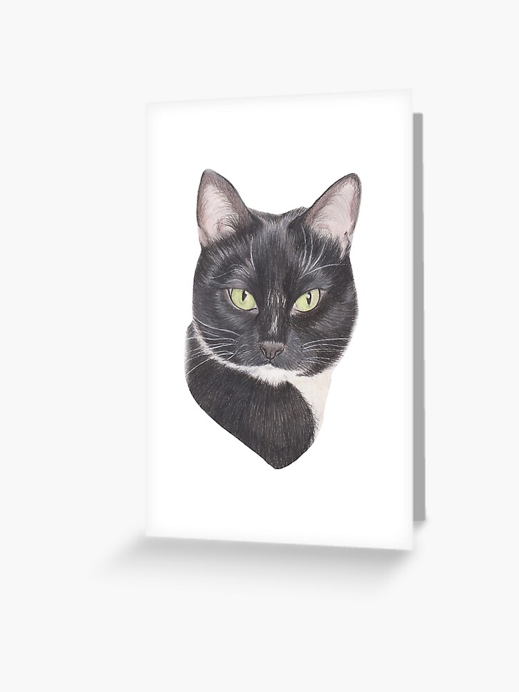 Tarjetas de felicitación «Dibujo a lápiz color blanco y negro gato» de  kathrynroseart | Redbubble