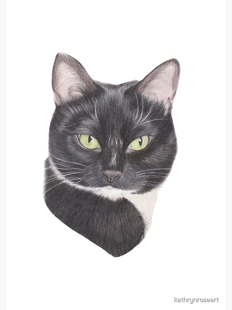 Black and white kitty in coloured pencils