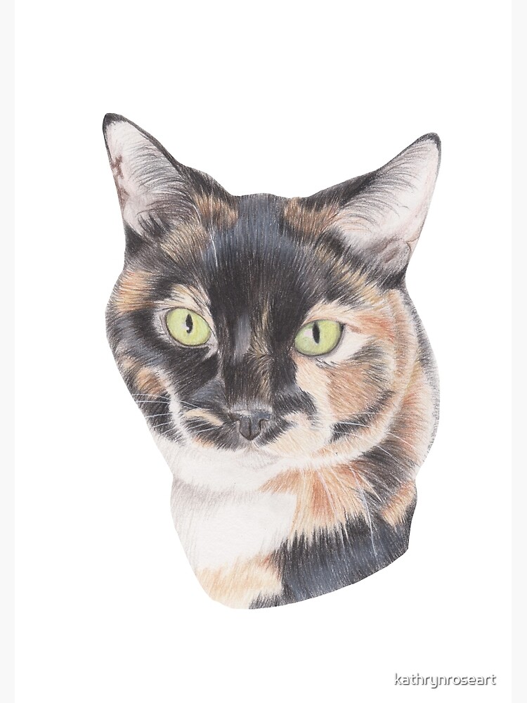 Carte De Vœux Dessin Au Chat Au Crayon De Couleur Calico Gingembre Blanc Et Noir Par Kathrynroseart Redbubble