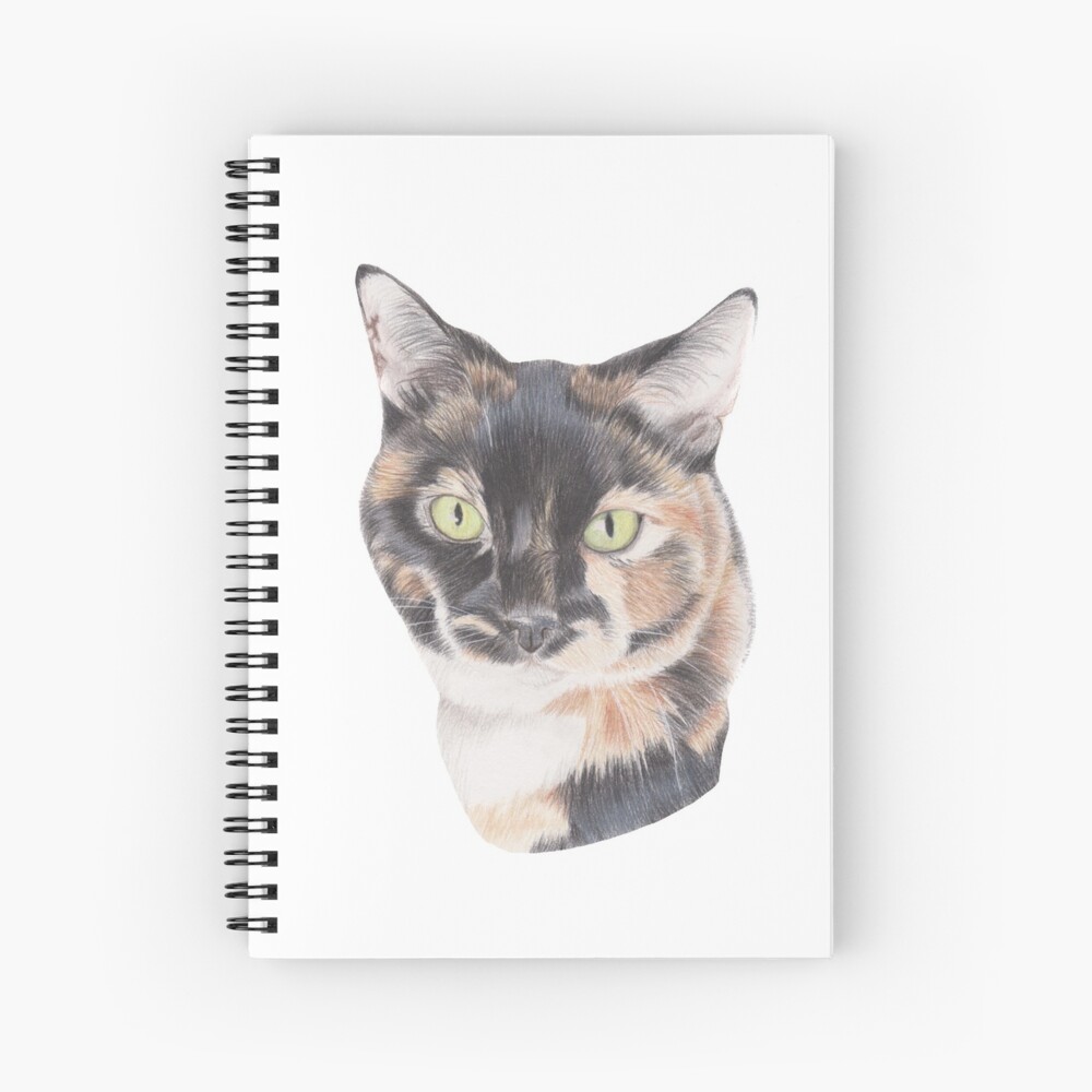 Impression Artistique Dessin Au Chat Au Crayon De Couleur Calico Gingembre Blanc Et Noir Par Kathrynroseart Redbubble