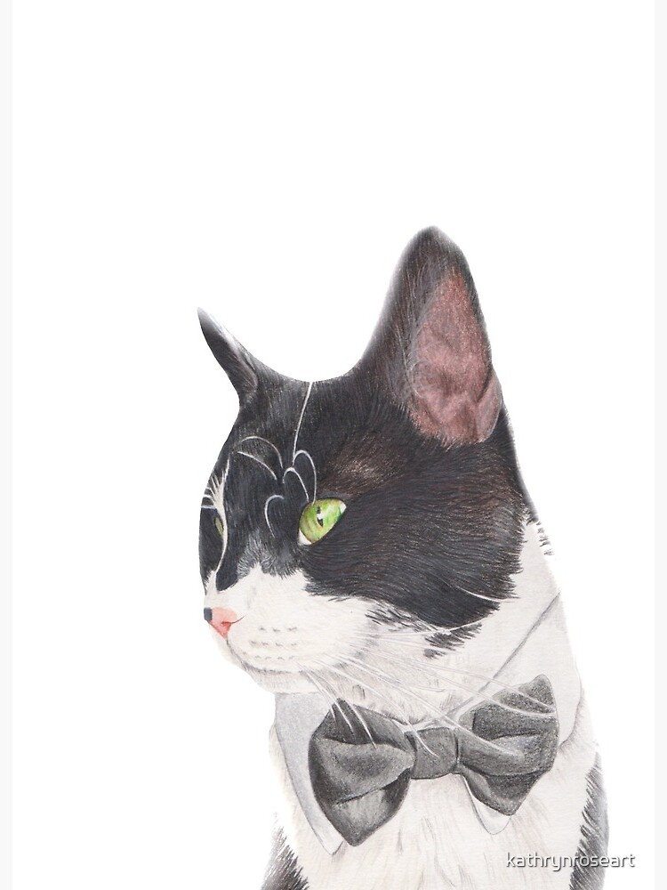 Lámina rígida «Dibujo a lápiz color blanco y negro de pajarita a color  gato» de kathrynroseart | Redbubble