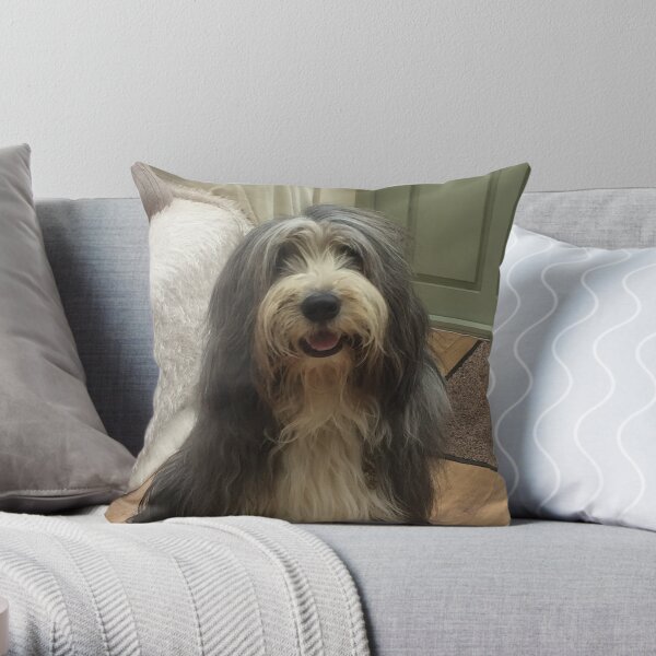 Bearded Collie - Good Boy Beardie Throw Pillow