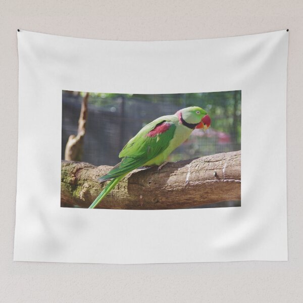 Item preview, Alexandrine Parakeet designed and sold by lezvee.
