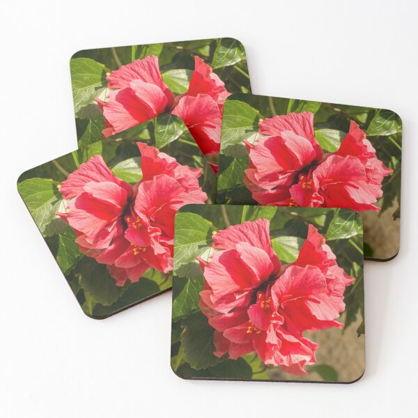 Item preview, Frills and Ruffles - Living Coral Coloured Double Petaled Hibiscus designed and sold by Georgia Mizuleva.