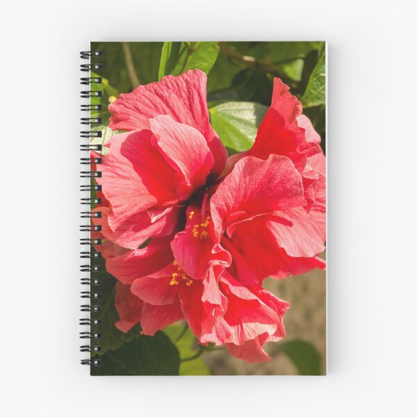 Item preview, Frills and Ruffles - Living Coral Coloured Double Petaled Hibiscus  designed and sold by Georgia Mizuleva.