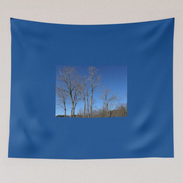 Item preview, "Oh What A Beautiful Mornin', Oh What A Beautiful Day!" designed and sold by Len Bomba.