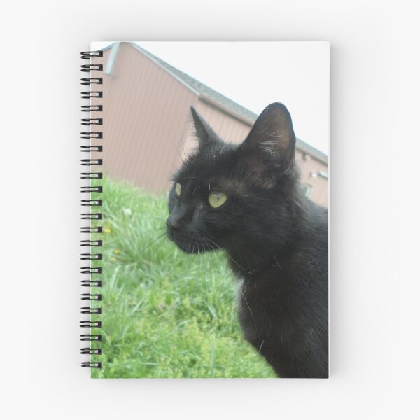 Item preview, Midnight designed and sold by Teresa Morgan.