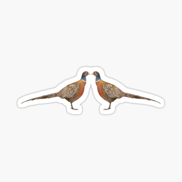 Pheasant Pattern Sticker