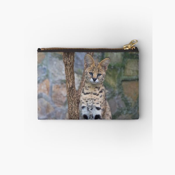 Item preview, Serbia. Belgrade. Zoo. Serval. designed and sold by vadim19.