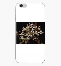 grevillea triloba iPhone Case