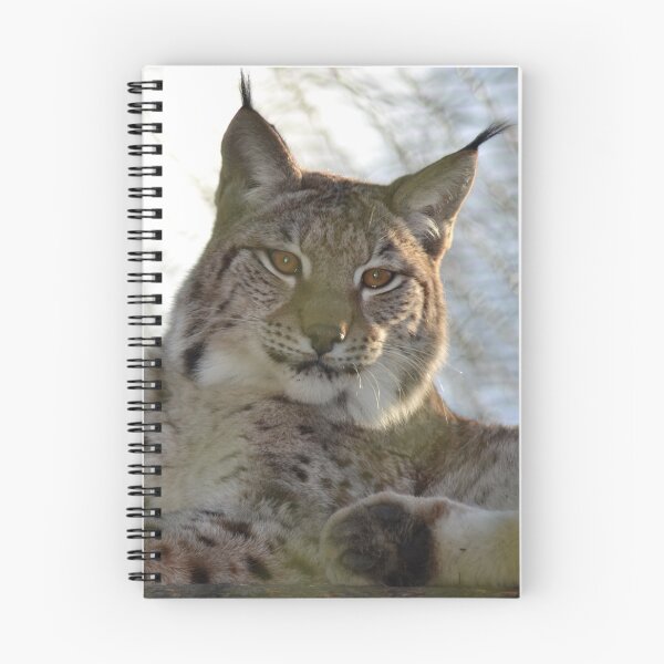 Artikelvorschau, Luchs entworfen und verkauft von Hannah Draper.