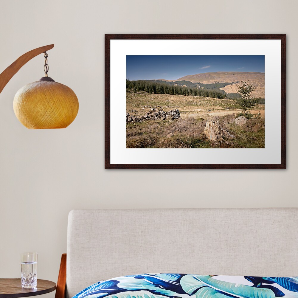 The Wrong Kind of Tree Framed Art Print