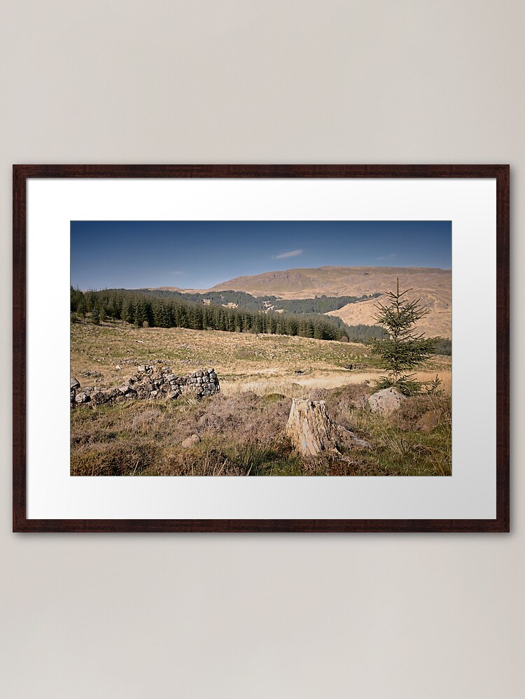Alternate view of The Wrong Kind of Tree Framed Art Print