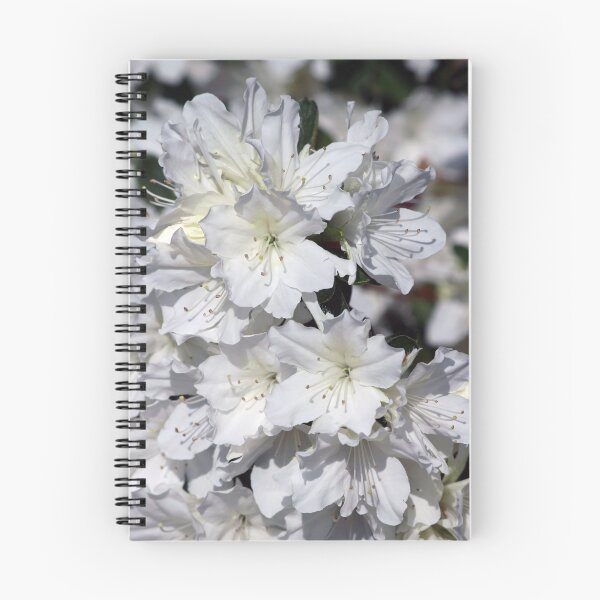 Item preview, White Azalea Flowers ~ Azalea Bursts designed and sold by roadsidestills.