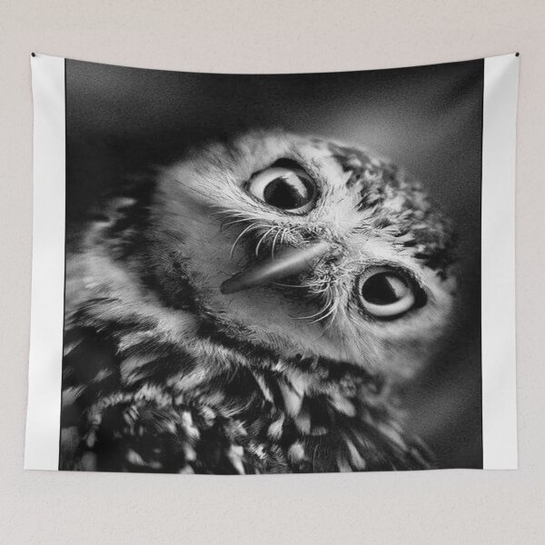 Item preview, Owl designed and sold by iragorastore.
