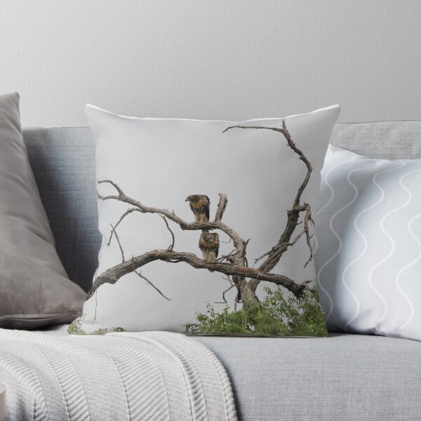 Hunting Harris Hawks Throw Pillow