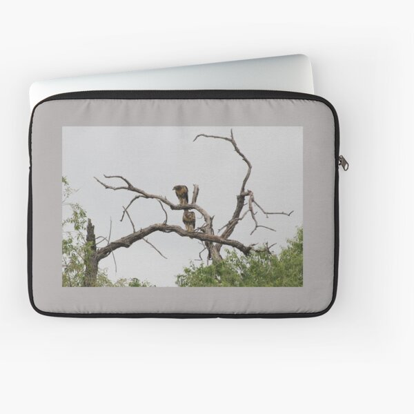 Hunting Harris Hawks Laptop Sleeve