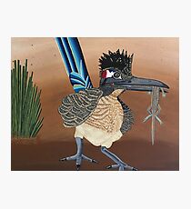 Early Bird gets the Whiptail Photographic Print