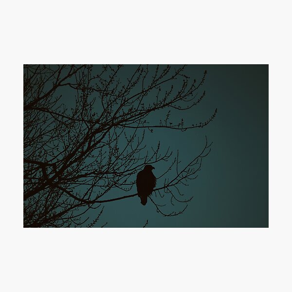 Item preview, Bald Eagle Silhouette designed and sold by Sara Montour Lewis.