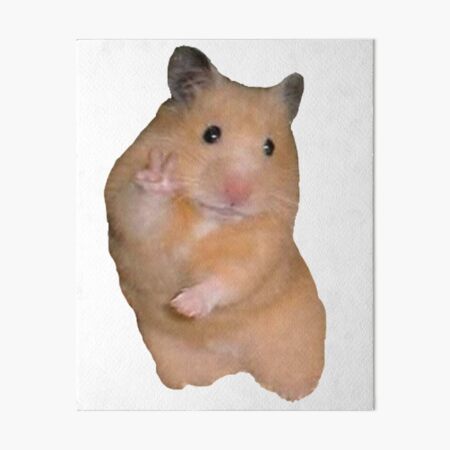 Peace Hamster Meme Art Board Prints Redbubble