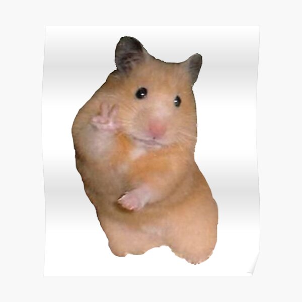 Peace Sign Hamster Poster By Kate Designs Redbubble