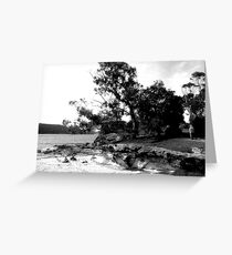 Balmoral Beach Greeting Card
