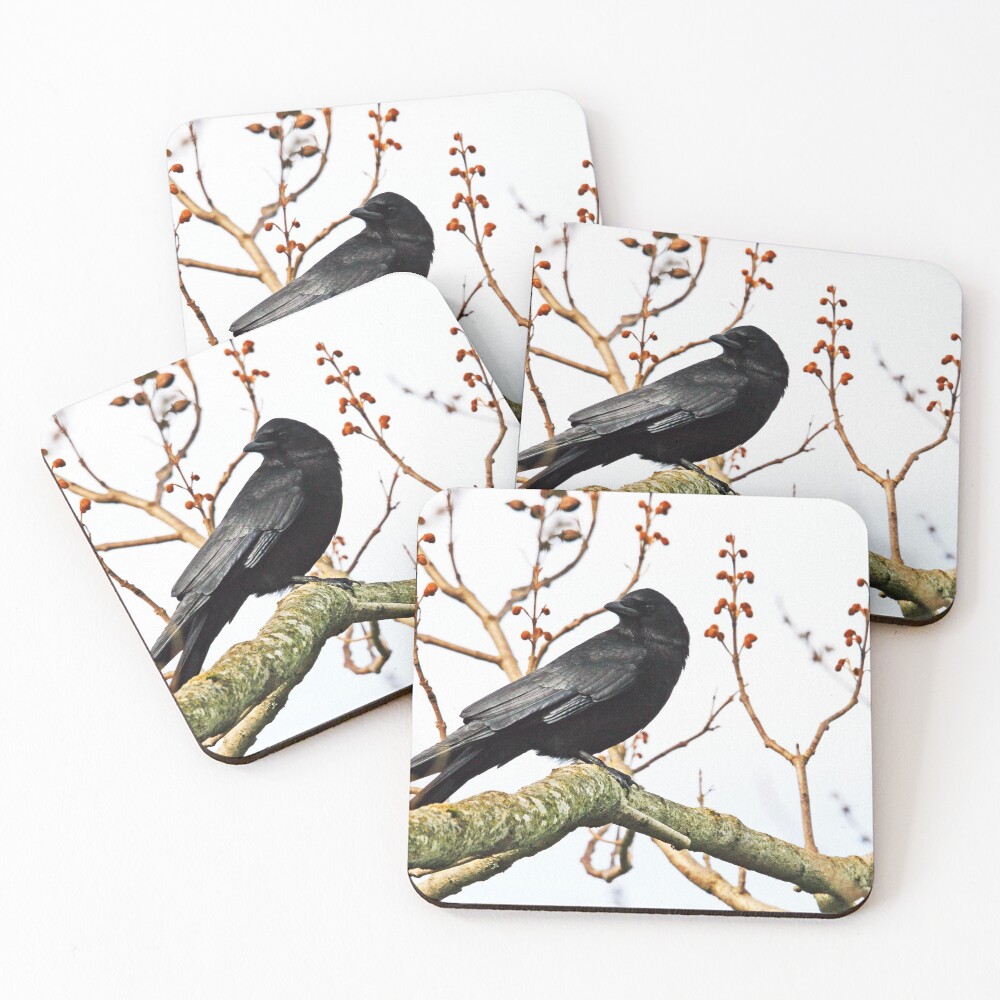 Item preview, Coasters (Set of 4) designed and sold by RichImage.