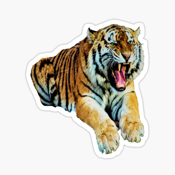 Malay Tiger Gifts & Merchandise for Sale | Redbubble