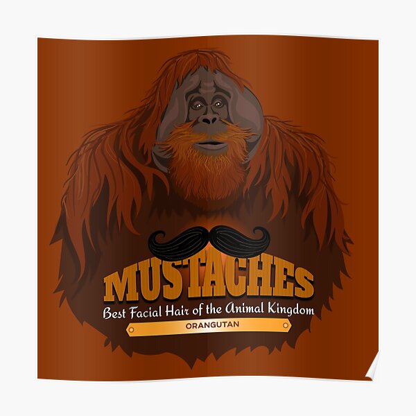 Mustaches: Orangutan Poster