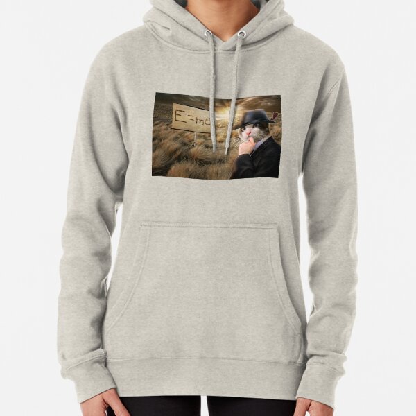 Gentleman Cat Is Thinking About Einstein's Physics Pullover Hoodie