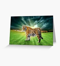 Lass uns in Richtung Sonne gehen, sagte der Tiger Grußkarte