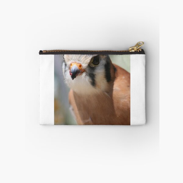 Item preview, SparrowHawk...A Curious Kestrel designed and sold by RichImage.