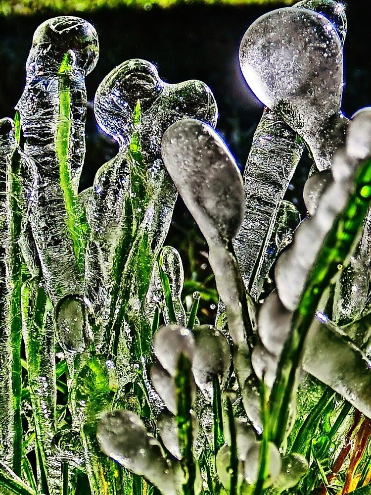 Rare Ice Migration Photograph by 32DARTS