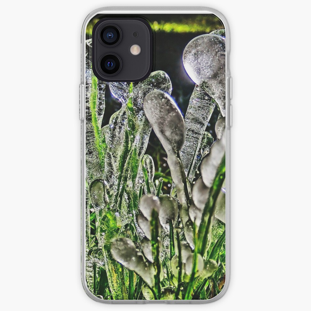 Rare Ice Migration Photograph iPhone Case & Cover