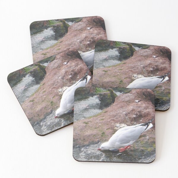 Item preview, Seagull Drinking Water designed and sold by Moonshine Paradise.