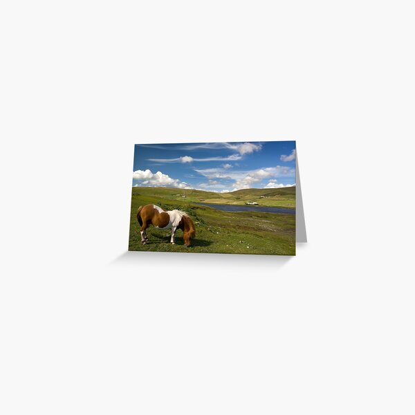 Item preview, Shetland Summer Grazing designed and sold by Theresa Elvin.