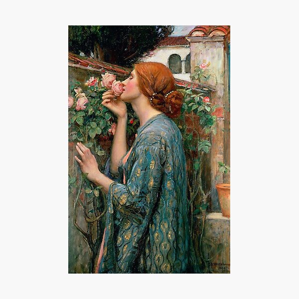 The Soul Of The Rose John William Waterhouse Photographic Print