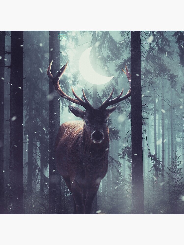 Forest Dweller by sublimenation