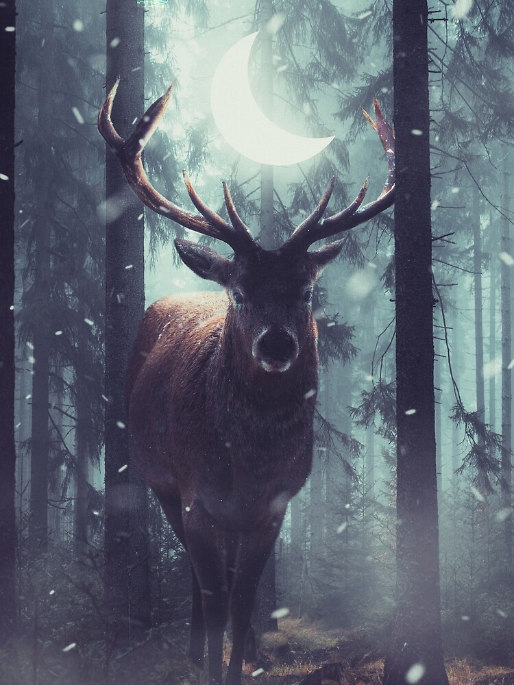 Forest Dweller by sublimenation