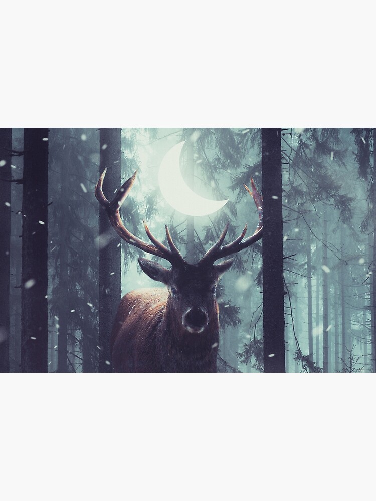 Forest Dweller by sublimenation