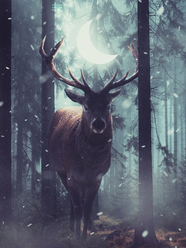 Forest Dweller by sublimenation