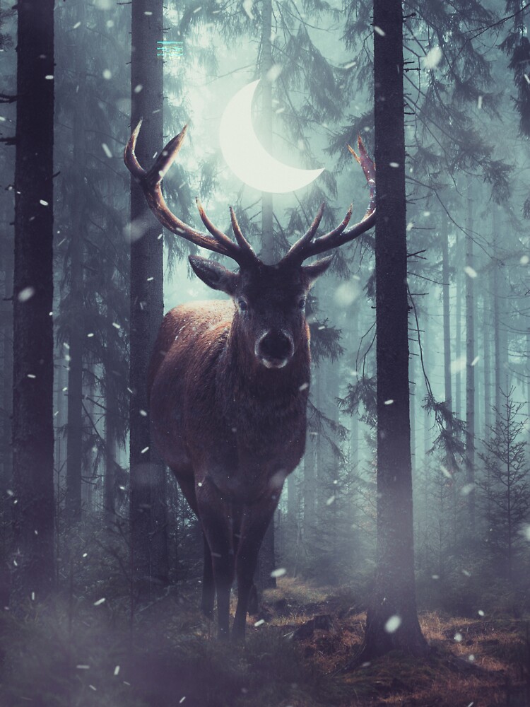 Forest Dweller by sublimenation