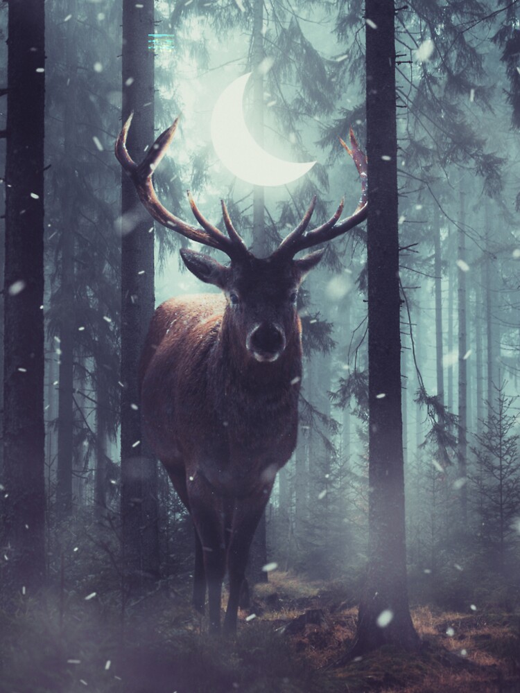 Forest Dweller by sublimenation