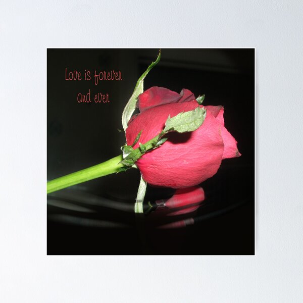Item preview, love today and always  designed and sold by Ann Persse.