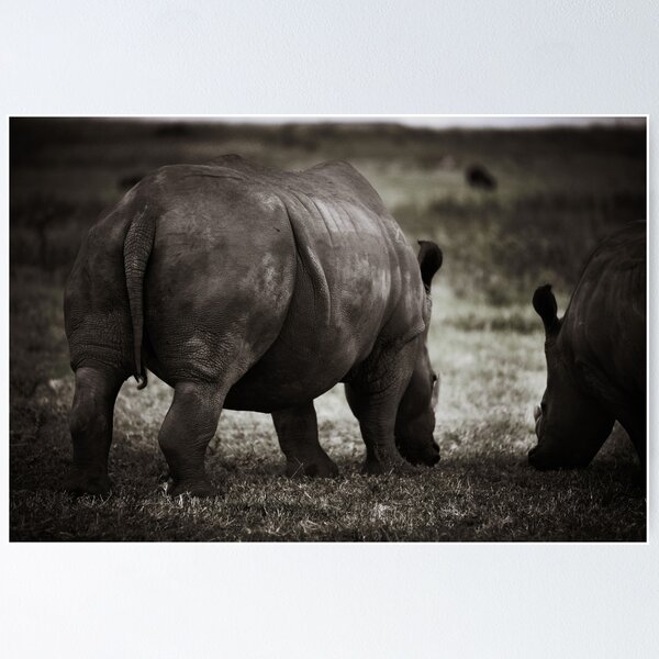Item preview, Rhinos from behind designed and sold by Robyn Liebenberg.