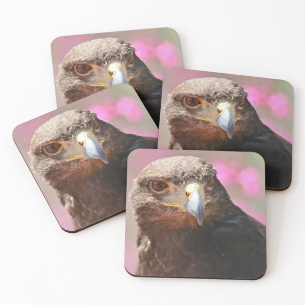 Item preview, Harris Hawk portrait designed and sold by RichImage.