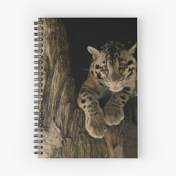 Item preview, Clouded Leopard designed and sold by AyotlPhotograph.