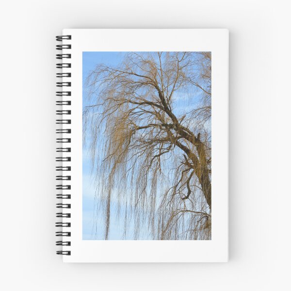 Item preview, Weeping Willow designed and sold by Laurie Minor.