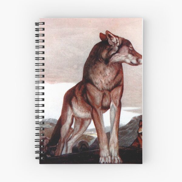 Item preview, Jungle Book - Akela Lone Wolf - Edward Julius Detmold, Maurice Detmold designed and sold by forgottenbeauty.