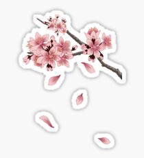 Cherry Blossom Branch Sticker